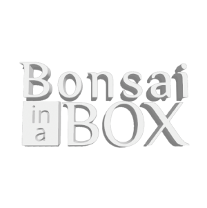 binsai-in-a-box